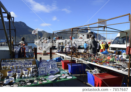 88210 Cape Town Hout Bay 88210 Cape Town Hout Bay 7857687