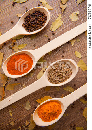spices - pepper, curry, chilli, caraway spices - pepper, curry, chilli, caraway 7859906