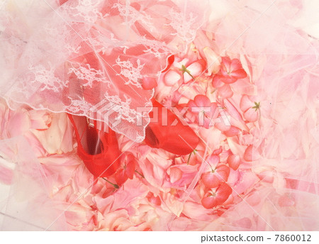 紅色的鞋頭 7860012