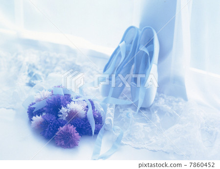 芭蕾舞鞋 7860452