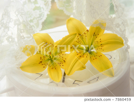 Flower image 7860459