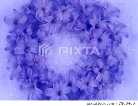 Flower image 7860460