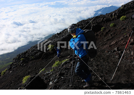 Mount Fuji Downtown 7861463