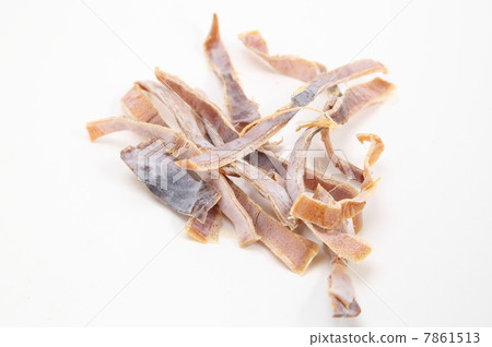 烏賊 烏賊 7861513