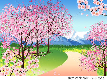 Row of cherry trees Row of cherry trees 7862554