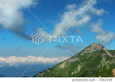 Ridge Aibga 7862584