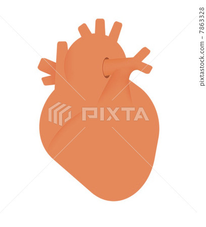 人的心臟 7863328