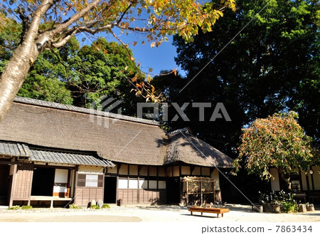 Old houses Old houses 7863434