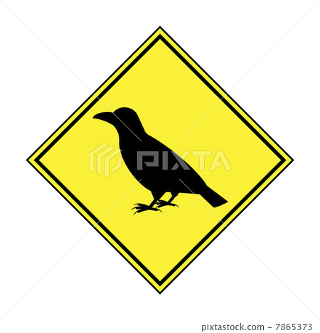 Attention to the crow Attention to the crow 7865373