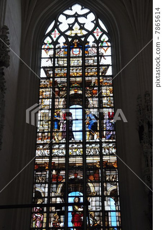 St. Michel et Guduul Cathedral Brussels 7865614