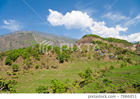Green terraces 7866851
