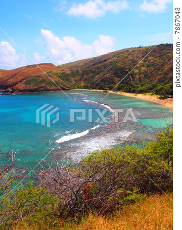海洋自然保護區夏威夷Hanauma海灣 海洋自然保護區夏威夷Hanauma海灣 7867048