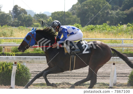 Horse race 7867100