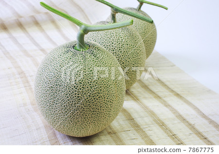 Please give a summer gift 7867775