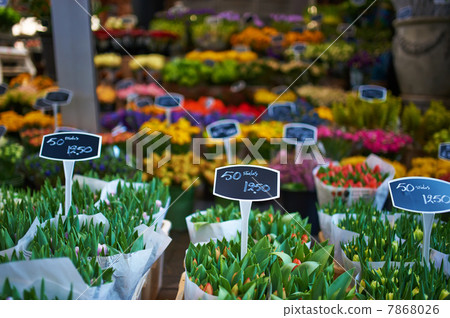 Amsterdam flower market 7868026
