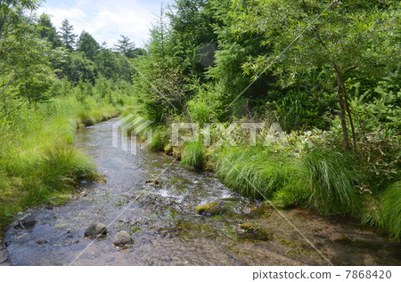 清除Oku-Nikko的電流 7868420