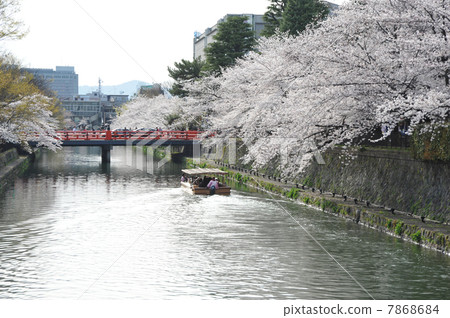 京都岡崎的春天 京都岡崎的春天 7868684