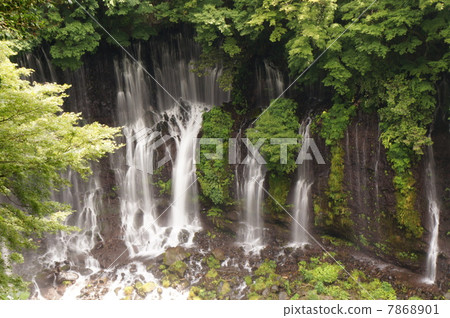 Shiraito瀑布 7868901