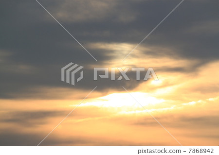 Red Fuji Red Fuji 7868942