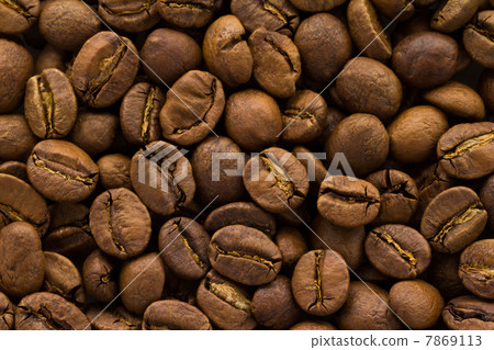 咖啡豆（乞力馬扎羅山） 7869113