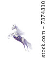 Horse age (Horse that jumps) 7874810