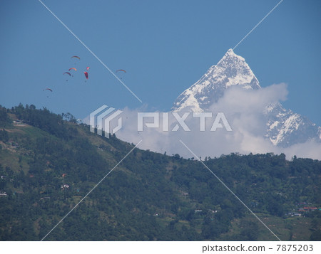 尼泊爾博卡拉 尼泊爾博卡拉 7875203