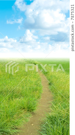 Path of grassland Path of grassland 7875321