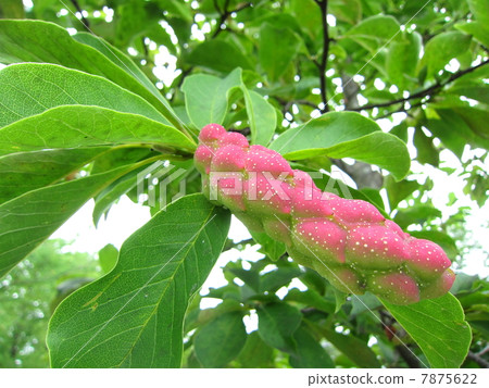 Fist of fist Fist of fist 7875622