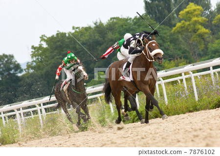 Horse racing Horse racing 7876102