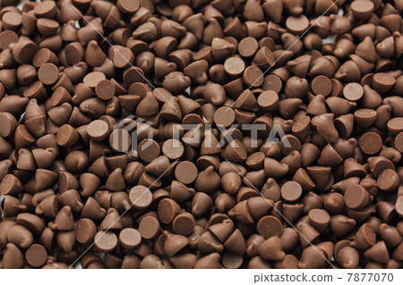 Chocolate chocolate chip 7877070