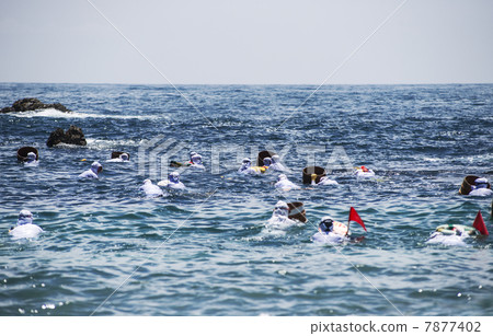 Ama bareback fishing Ise Shima Japanese heritage image material 7877402