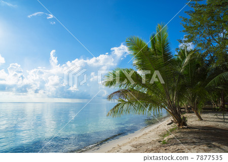 度假村 度假村 7877535