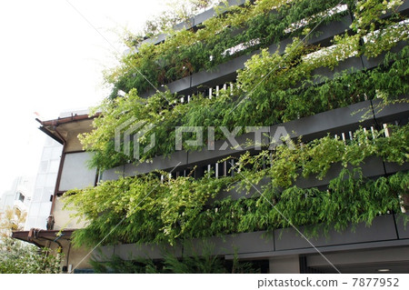 Energy saving by wall greening 7877952