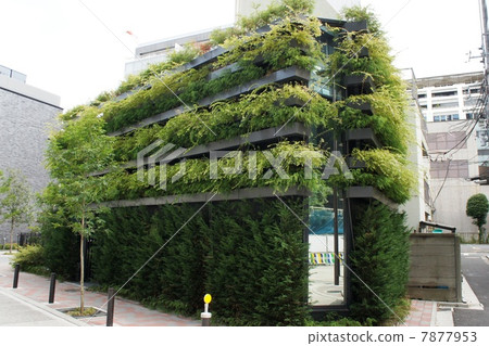 Energy saving by wall greening 7877953