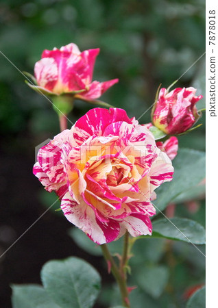 Maurice Utrillo 7878018