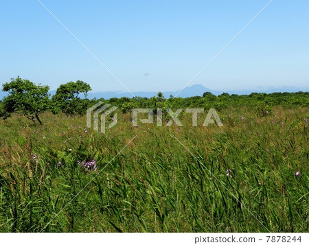 Kushiro Marsh 7878244