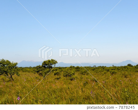 Kushiro Marsh 7878245