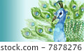 Peacock peacock illustration 7878276