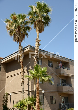 American housing 7878296