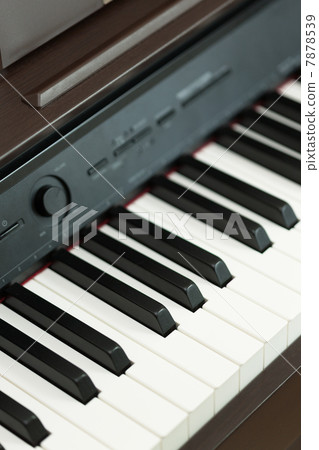 電子鋼琴 7878539