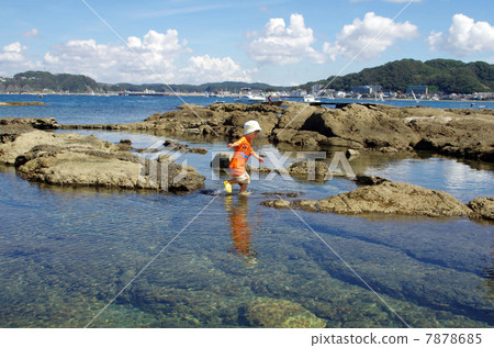 兒童和Nashima（Nachijima）的風景 7878685