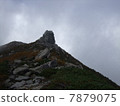 Ginkgo rock seen from the mountain path 7879075