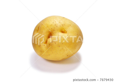 potato  7879430