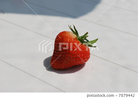 Strawberries placed in the center (Tocho Tome) Strawberries placed in the center (Tocho Tome) 7879442