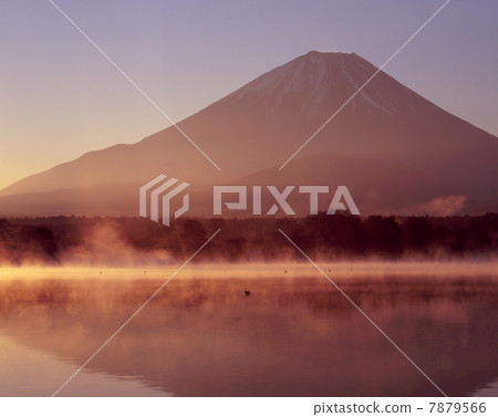 松蔭湖的早晨 7879566