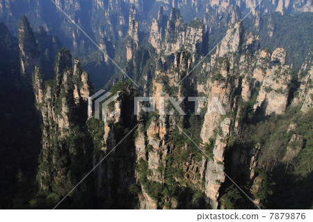 五菱星支柱集團（中國湖南省張家界市） 7879876