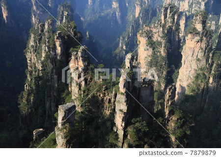 五菱星支柱集團（中國湖南省張家界市） 7879879