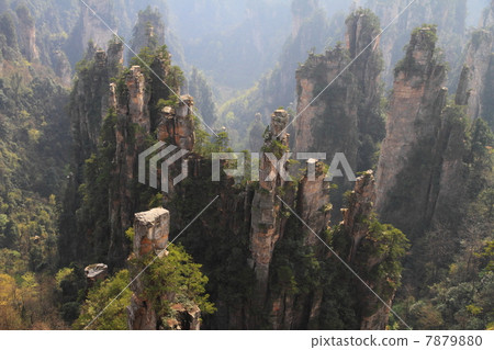 五菱星支柱集團（中國湖南省張家界市） 7879880