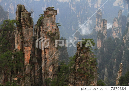 五菱星支柱集團（中國湖南省張家界市） 7879884