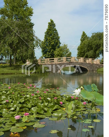 石橋 石橋 7879890